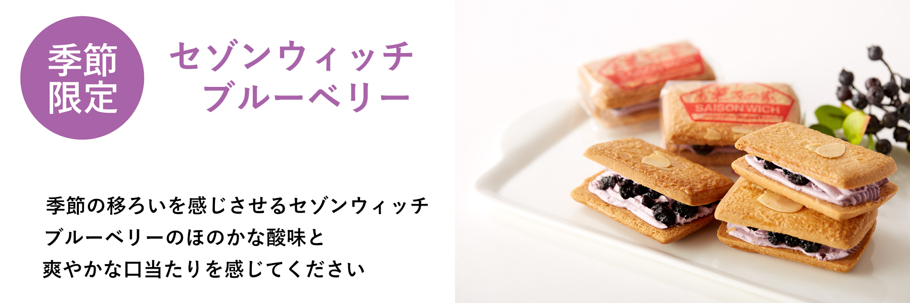 セゾンウィッチ【ブルーベリー】